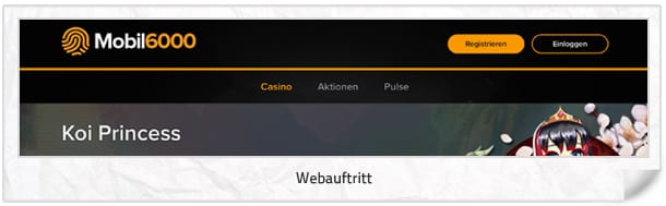 Mobil6000 Casino Webseite